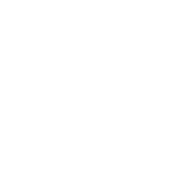 Mireasa