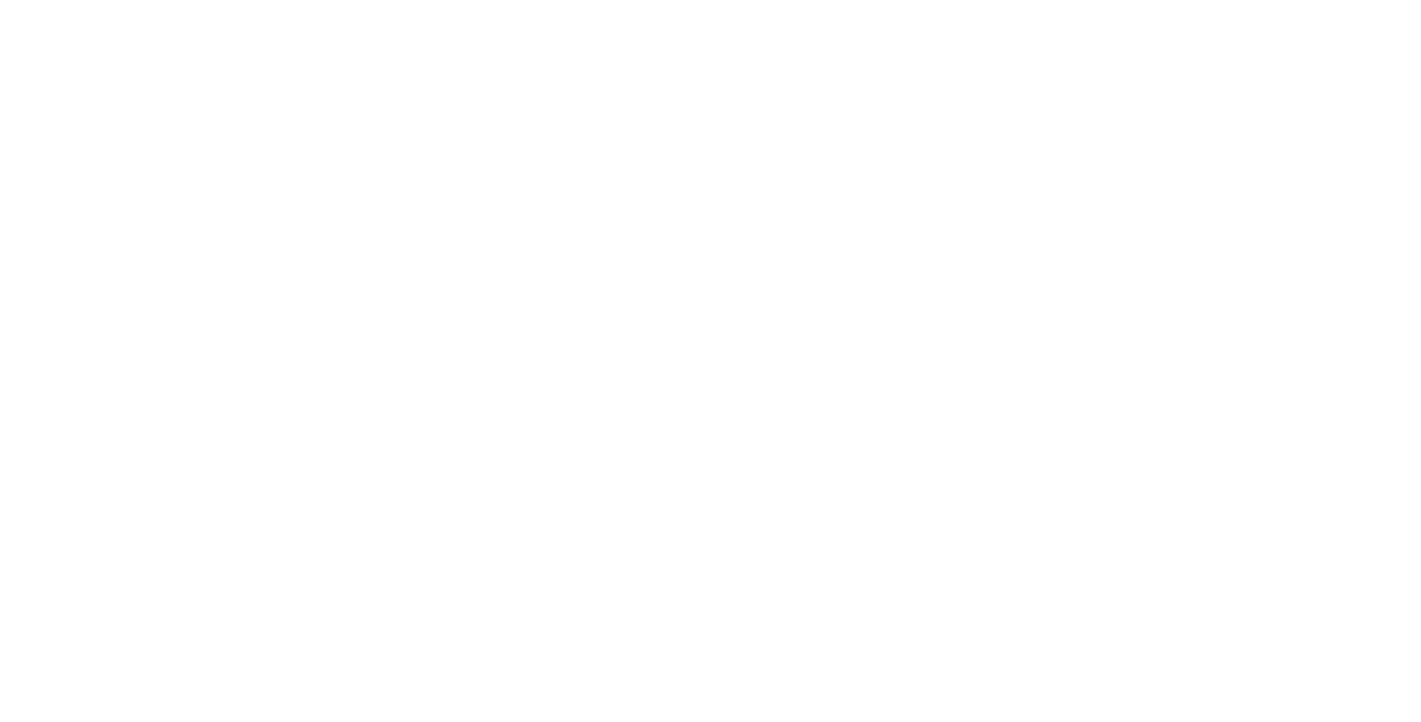 The Ticket